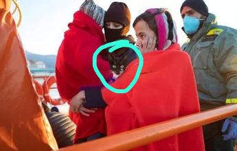 Photo of قطة مغربية تصل ميناء موتريل على متن قارب للهجرة السرية