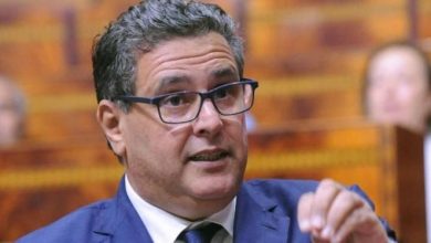 Photo of أخنوش: “حققنا الاكتفاء الذاتي الغذائي باستثناء الحبوب والسكر”