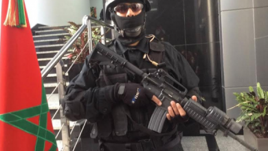 Photo of ترقية 711 موظف “بالديستي” سنة 2020