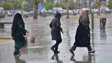 Photo of طقس الثلاثاء.. استمرار التساقطات المطرية بأقاليم الشمال