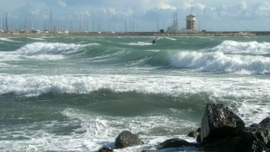 Photo of طقس الثلاثاء.. هبوب رياح شرقية بطنجة وتكون ضباب في الصباح والليل