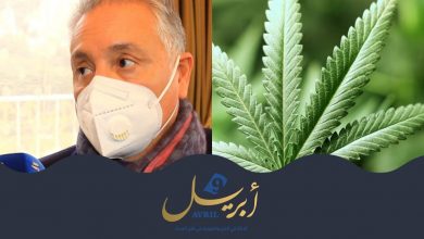 Photo of نبيل بن عبد الله :”مرحبا بمشروع تقنين القنب الهندي والمغرب يقوم بخطوة جريئة”