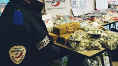 Photo of السلطات الفرنسية تضبط 590 كيلوغرام من المخدرات قادمة من المغرب