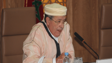 Photo of بعد قرار عزله.. هل يخضع الإدريسي للمحاكمة؟