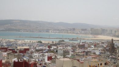 Photo of طقس الأحد.. أجواء مستقرة مع تكون كتل ضبابية بالسواحل