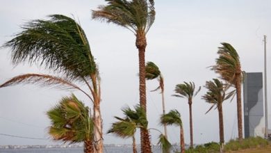 Photo of طقس الثلاثاء.. رياح شرقية بطنجة وأمطار مرتقبة بالريف والأطلس