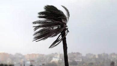 Photo of طقس الاثنين.. رياح شرقية مرتقبة بطنجة وقطرات مطرية شمال الريف