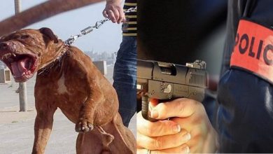 Photo of مقدم شرطة يطلق النار لتوقيف جانج واجه العناصر الأمنية بكلب شرس