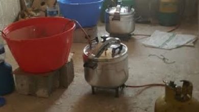 Photo of تقطير “الماحيا” وتجارة المخدرات يجران شخصين لقبضة العدالة بالحسيمة