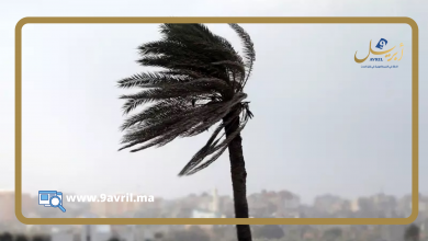 Photo of طقس الثلاثاء.. رياح شرقية قوية بطنجة وقطرات مطرية مرتقبة بعدد من الأقاليم