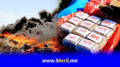 Photo of حجزت بالميناء المتوسطي.. السلطات تحرق نحو 30 طنا من المخدرات و75 كلغ من الكوكايين