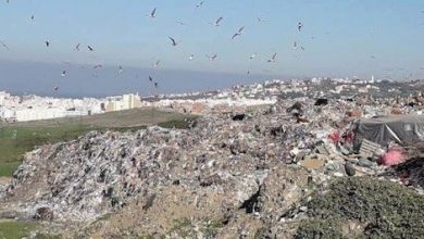 Photo of بعد عقود من المعاناة.. جماعة طنجة تغلق مطرح مغوغة