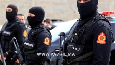 Photo of حجز سبعة أطنان من المخدرات بالمهيدية