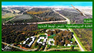 Photo of طنجة: “الغابة الديبلوماسية” تلبس ثوبها الجديد