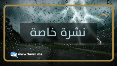 Photo of نشرة انذارية.. أمطار رعدية ورياح قوية بعدد من أقاليم الشمال