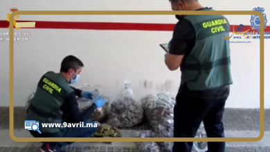 Photo of مليلية: توقيف قاصر كان بصدد رمي كمية من الحشيش عبر السياج الحدودي