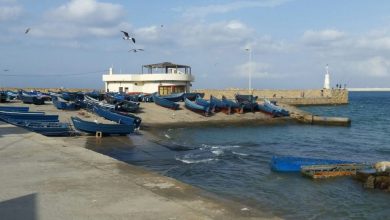 Photo of القصر الصغير..العثور على 14 رزمة من المخدرات في سيارة “برادو” تهز الدرك