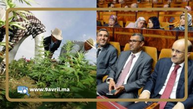 Photo of هل يتجه برلمانيو العدالة والتنمية لرفض مشروع تقنين “الكيف”؟