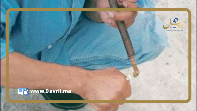 Photo of تقرير النموذج التنموي: “10 في المائة من تلاميذ الثانوي يتعاطون “الكيف”