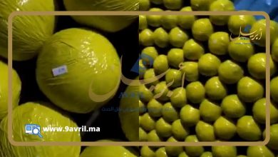 Photo of شاحنات “السويهلة” المحملة بالمخدرات تواصل عبورها إلى الضفة الأخرى