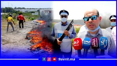 Photo of طنجة: مصالح الجمارك والدرك تحرق حوالي ثمانية أطنان من المخدرات