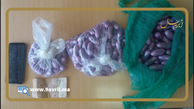 Photo of موضوع مذكرة بحث وطنية.. “پيجي” طنجة يطيح بخمسيني ينشط في الاتجار الدولي للمخدرات