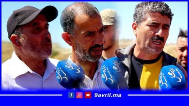 Photo of طنجة: عصابة ملتحية تسطو على أراضي خاصة بمدشر “العوامة” من يحميها؟
