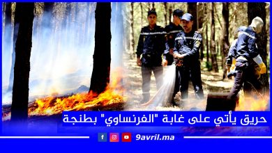 Photo of حريق يأتي على غابة “الفرنساوي” بطنجة وعناصر الوقاية المدنية تحول دون انتشاره