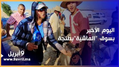 Photo of طنجة: تفاصيل اليوم الأخير بسوق “الحولي”  ومواطنون منزعجون من غلاء الأكباش