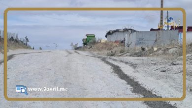 Photo of شركتان تشوهان طريقا بجماعة “اجوامعة” والساكنة تطالب بالتدخل