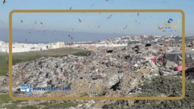 Photo of اتفاقية لتشجير المطرح العمومي القديم بطنجة مقابل ملياري سنتيم