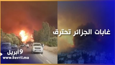 Photo of حرائق ضخمة في الجزائر تغزو غابات الجزائر وتصل إلى المنازل والمناطق السكنية