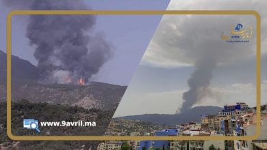 Photo of بسبب الحرارة والرياح.. اندلاع حريق بغابة ضواحي شفشاون