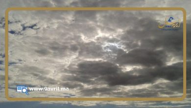 Photo of سحب منخفضة وكتل ضبابية متوقعة فوق السواحل الشمالية في طقس السبت