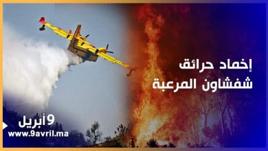 Photo of إخماد حرائق شفشاون المرعبة بعد أيام من المعاناة والرعب