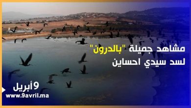 Photo of طنجة: مشاهد جميلة “بالدرون” لسد سيدي احساين كما لم تروها من قبل