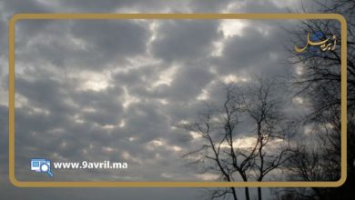 Photo of كتل ضبابية وطقس غير مستقر بعدد من المناطق في توقعات اليوم الجمعة