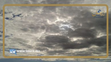 Photo of أجواء ضبابية متوقعة بالسواحل الشمالية في طقس اليوم السبت