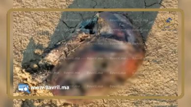 Photo of عاجل: العثور على رأس مقطوعة متحللة والدرك يحقق في هذه الجريمة المروعة