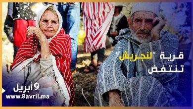 Photo of قرية “لنجريش” تنتفض ضد “فاعلة” سطت على عقار  يمر منه خيلهم وبغالهم