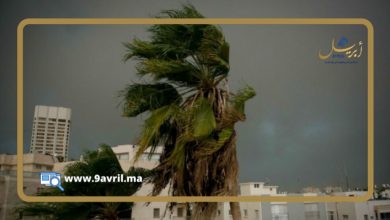 Photo of استمرار إنخفاض درجة الحرارة ورياح قوية مرتقبة بطنجة في توقعات طقس اليوم