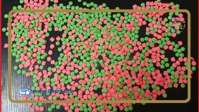 Photo of طنجة.. توقيف مروج أقراص مخدرة بحي “الزاودية”