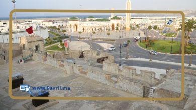 Photo of طقس السبت.. تنتظركم أجواء معتدلة ورياح قوية