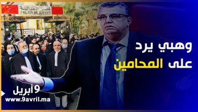 Photo of وهبي يصدم المحامين وهكذا علق على احتجاجاتهم
