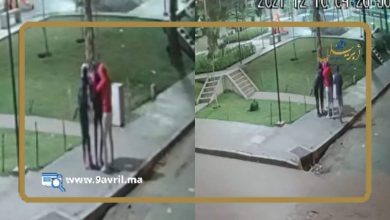 Photo of طنجة.. توقيف 3  لصوص سرقوا شخصا وهددوه بالسلاح بمنتزه بئر الشفا