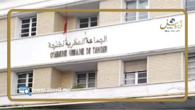 Photo of الوهابي قصة مستشارة تألقت في أداء مهامها رغم كيد الكائدين