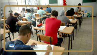 Photo of بسبب فأر..مؤسسة تعليمية تطرد أربعة تلاميذ