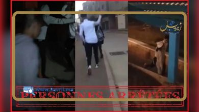 Photo of توقيف قاصرين أرعبوا فتاتين وقاموا بتعنيفهما بالشارع العام