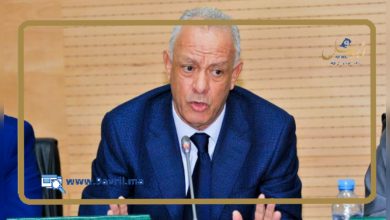 Photo of الوالي امهيدية يوجه تعليمات صارمة للوقاية المدنية لمواجهة حرائق محتملة