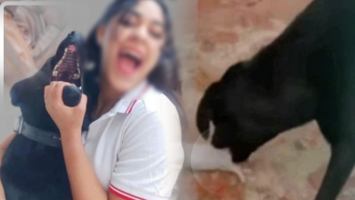Photo of قت*لت قطة..”السجن لقا،تلة القطط” هاشتاغ يغزو مواقع التواصل الاجتماعي